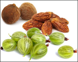 Amla (Emblica officinalis), Haritaki (Terminalia chebula) and Vibhitaki (Terminalia bellirica)
