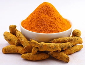 Turmeric, Curcuma longa