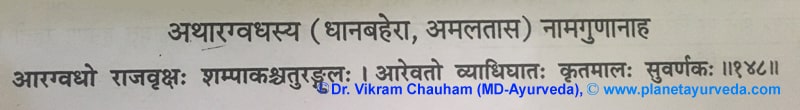 Ancient Verse of Cassia Fistula