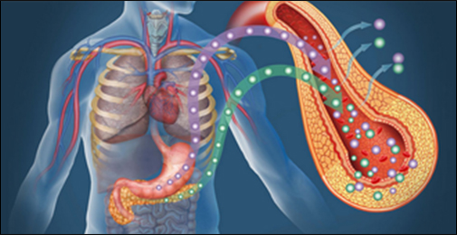Bioglutide NA-931 Comprehensive Metabolic Modulation | Shaanxi BLOOM Tech Co., Ltd Bioglutide NA-931 Comprehensive Metabolic Modulation | Shaanxi BLOOM Tech Co., Ltd