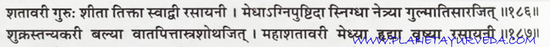 Shloka of Shatavari (Asparagus racemosus) Shloka of Shatavari (Asparagus racemosus)
