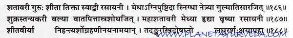 Shloka of Shatavari (Asparagus racemosus) Shloka of Shatavari (Asparagus racemosus)