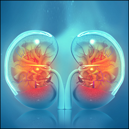 Kidney Transplant Kidney Transplant