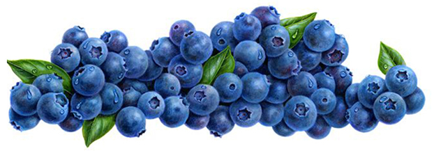 Blueberries Blueberries