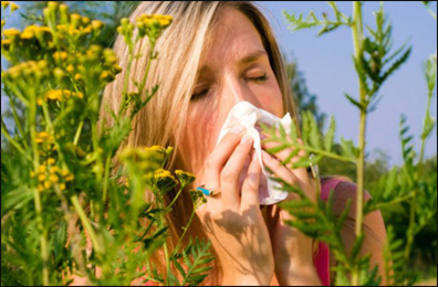 Seasonal Allergies