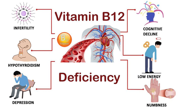 Herbal Remedies For Vitamin B12 Deficiency Ayurvedic Treatment pin-on-health