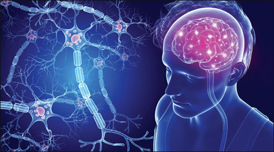 Effect of Multiple Sclerosis on Brain Effect of Multiple Sclerosis on Brain