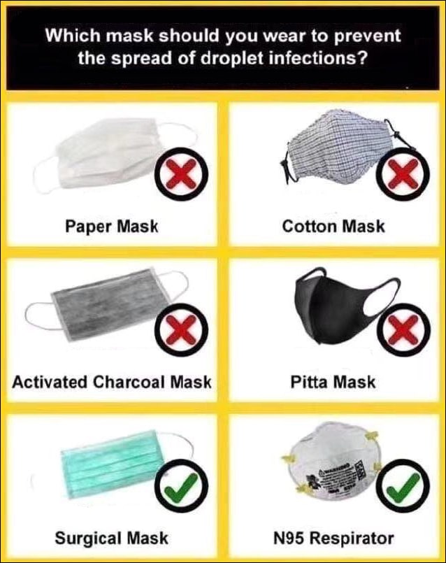 pitta mask n95 pitta mask n95