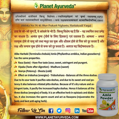 Classical Reference of Amla Classical Reference of Amla