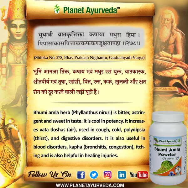 Classical Reference of Bhumi Amla Classical Reference of Bhumi Amla