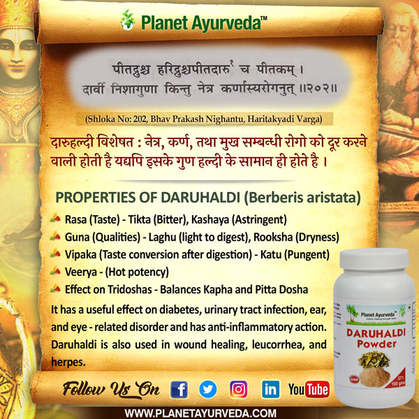 Authentic Ayurveda Information, Classical Reference of Daruhaldi, Berberis aristata