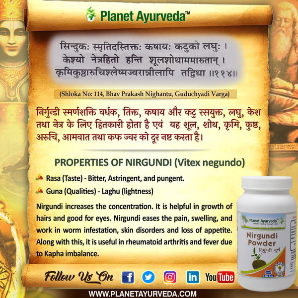 Authentic Ayurveda Information, Classical Reference of Nirgundi