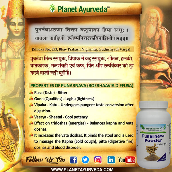 Classic Reference of Punarnava Classic Reference of Punarnava
