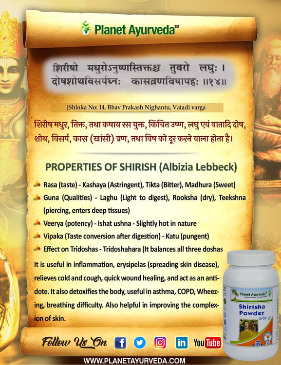 Authentic Ayurveda Information, Classical Reference of Shirisha