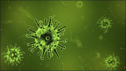 Viral Infections Viral Infections