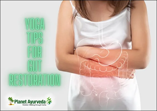 Gut Restoration
