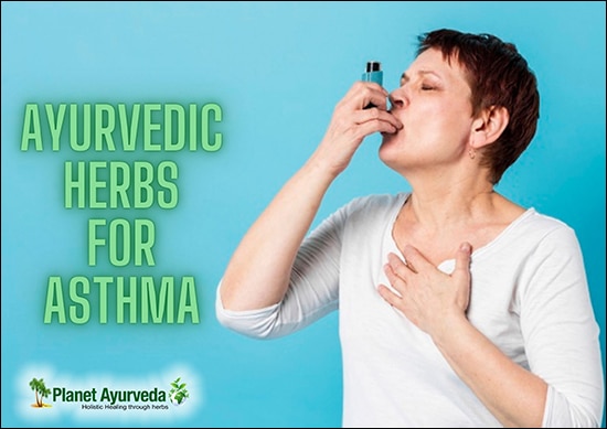 Herbs For Asthma