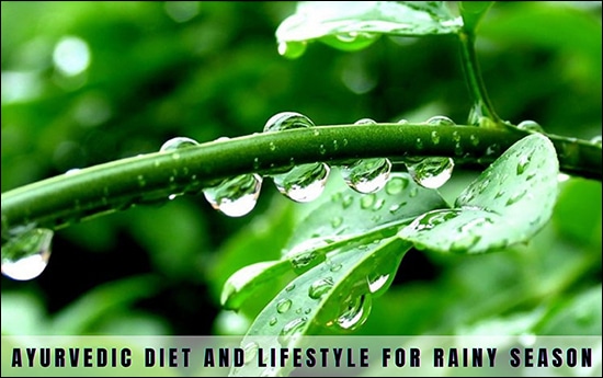 Rainy Season