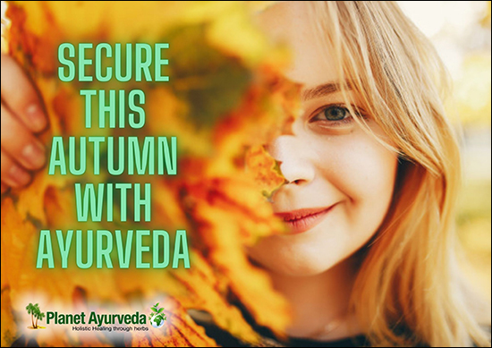 Secure This Autumn With Ayurveda Secure This Autumn With Ayurveda
