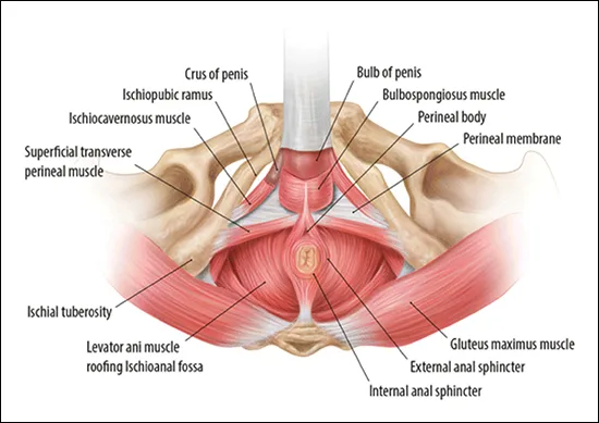 Levator Ani Syndrome