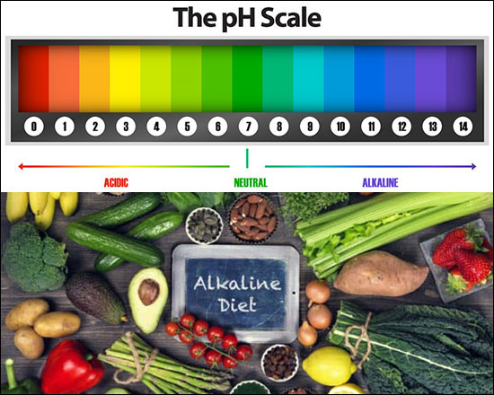 The pH Scale and Alkaline Diet The pH Scale, Alkaline Diet
