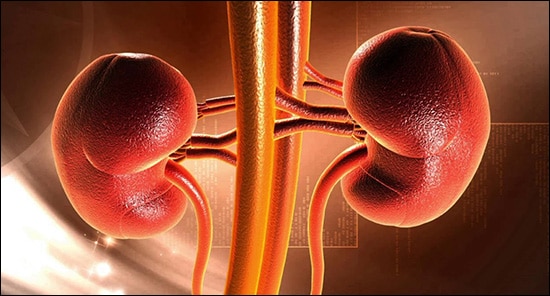 Improve Kidney Functions How to Lower Creatinine Levels, Improve Kidney Functions