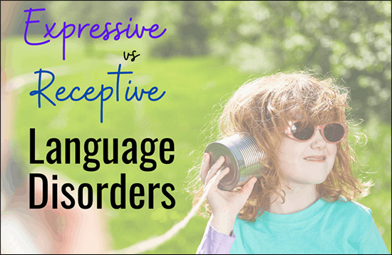 Mixed Receptive-Expressive Language Disorder Mixed Receptive-Expressive Language Disorder, Ayurvedic point view on language disorders
