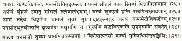 Ancient Verse Atibrihatpahala, Jack tree, Jackfruit, Artocarpus Integra, Ancient verse