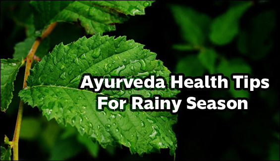 Ayurveda Health Tips For Rainy Season Ayurveda Health Tips For Rainy Season