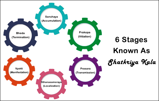 6 etapas conocidas como Shatkriya Kala 6 etapas conocidas como Shatkriya Kala