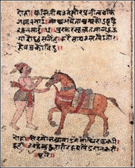 Equine Ayurveda Therapeutics, Ayurveda For Horses, Ayurveda and Equine Health, Hock Joint, Ayurvedic Aspect Of Degenerative Joint In Horses, Ayurvedic Treatment Of Equine Joint Diseases, Herbal Remedies For Diseases Of Horses, Herbal Remedies for Hock Joint, Herbs For Equine Joint Diseases, Equine Joint Diseases, Degenerative Joint In Horses