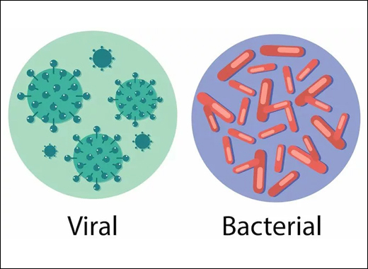Tamsik Environment & Viral Infections Tamsik Environment, Viral Infections, Tamsik Environment & Viral Infections, Ayurveda About Tamsik Environment, Ayurveda About Viral Infections, Types Of Tamas, Boosting Tips For Immunity, Herbal Remedies For Boosting Immunity, Boosting Immunity, Nasya Therapy