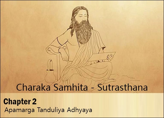 Charak Samhita - Sutrasthana - Chapter 2 (Apamarga Tanduliya Adhyaya) Charaka Samhita, Chapter 2, Second Chapter, Sutrasthana, Apamarga Tanduliya Adhyaya, Herbs For Vaman, Herbs For Virechana, Herbs For Nasya, Importance Of Snehana, Importance Of Swedana, Gruel Of Panch Kola, Panchkola Yuvagu, Uses Of Various Kinds Of Yuvagu, Qualities Of A Good Physician