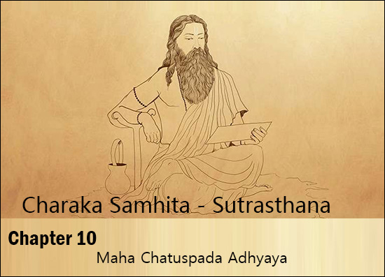 Charak Samhita - Sutrasthana - Chapter 10 (Maha Chatuspada Adhyaya) Chapter 10, Charaka Samhita, Maha Chatuspada Adhyaya, Sutrasthana, Symptoms Of Maha Chatuspada Adhyaya, Chapter 10 - Maha Chatuspada Adhyaya