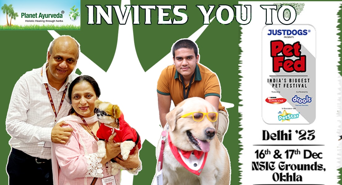 PET FED India's Biggest Pet Festival, Delhi