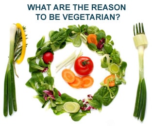 Reason to be Vegetarian