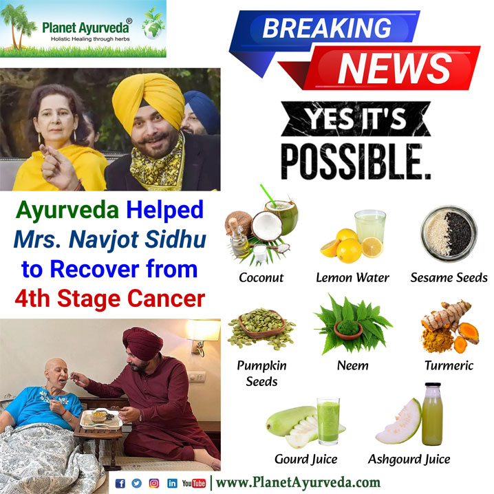 Ayurveda Helped Mrs. Navjot Sidhu to Recover from 4th Stage Cancer Breaking News, Cancer, 4th Stage Cancer, Cancer Recovery, Navjot Kaur Sidhu, Navjot Singh Sidhu, Navjot Singh Sidhu Wife, Cancer Warrior, Cancer Fighting Natural Remedies, Navjot Kaur Sidhu Cancer News, Cancer Fighting Herbs, Ayurveda News, Navjot Singh Sidhu Diet, Cancer Diet Chart, Diet Plan Of Mrs. Navjot Kaur Sidhu, Navjot Kaur Sidhu Cancer Diet