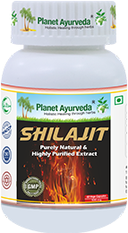 Shilajit Capsules
