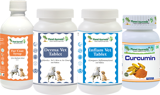 Herbal Remedies for Folliculitis in Dogs