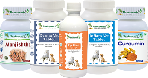 Mange in Dogs, Ayurvedic Treatment, Causes, Symptoms, Types, Risk Factors, Mode Of Transmission, Diagnosis, Signs, Preventive Steps, Management, Demodectic Mange, Sarcoptic Mange, Herbal Remedies