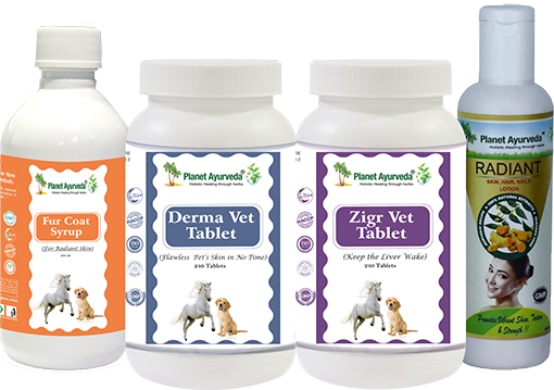 Herbal Remedies for Puppy Pyoderma