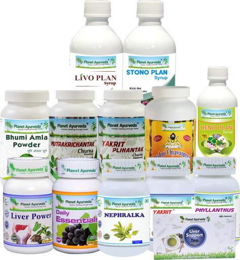 Bhumi Amla, Phyllanthus Niruri, Gale of Wind, Bhumi Amalaki, Boost Immunity, Ayurvedic Indications Of Bhumi Amla, Formulations With Bhumi Amla, Uses Of Bhumi Amla, Benefits And Therapeutic Uses, Bhumi Amla Effect On Doshas