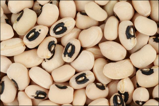 Cowpeas/ Chinese Beans/ Vigna catiang Walp./ Vigna unguiculata (L.) Walp.