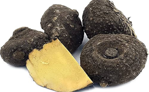 Suran/ Elephant Foot Yam/ Amorphophallus campanulatus Blume Suran/ Elephant Foot Yam/ Amorphophallus campanulatus Blume