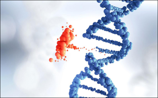 Genetic Diseases Genetic Diseases