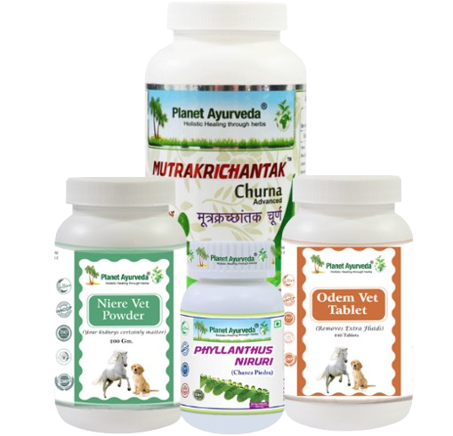 Herbal Remedies For Urolithiasis In Canines