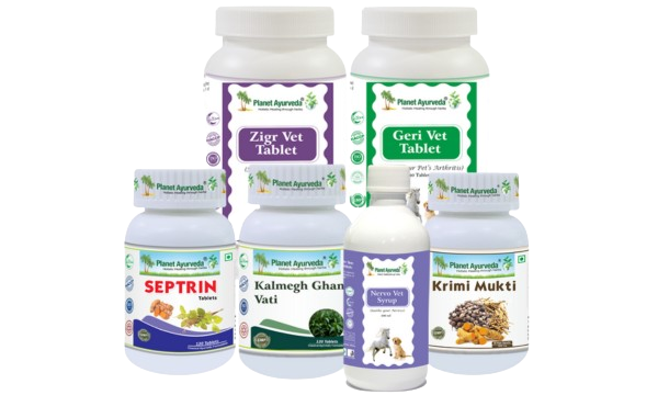 Herbal Remedies For Toxoplasmosis For Cats Herbal Remedies For Toxoplasmosis For Cats