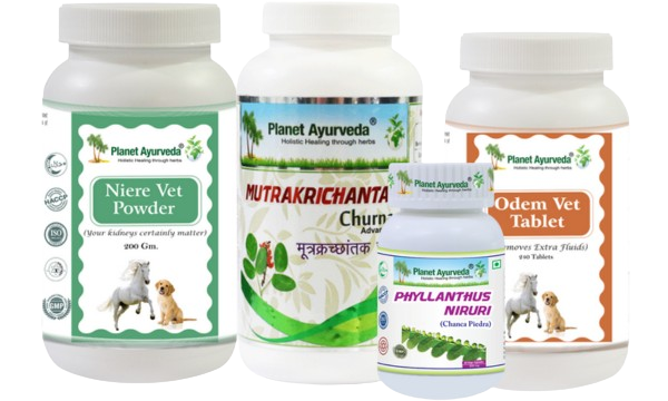 Herbal Remedies For Renal Calculi Herbal Remedies For Renal Calculi