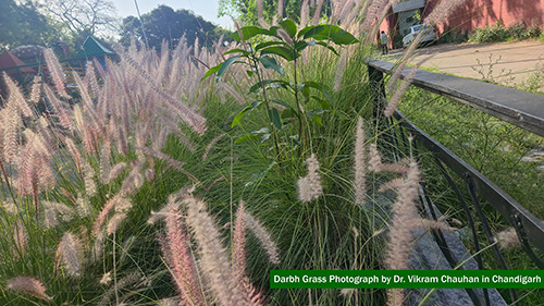 Myocardial Perfusion Imaging